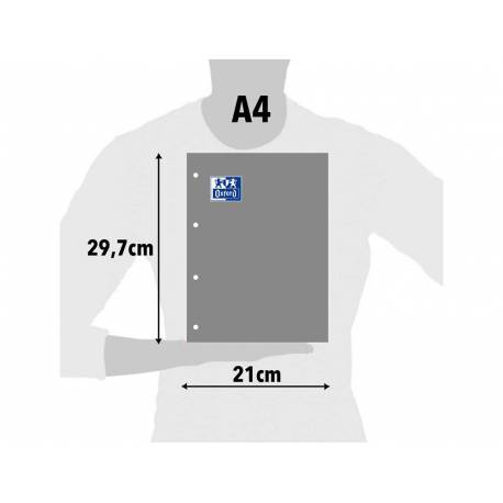 Recambio Oxford Classic A4 100+20 hojas cuadrícula - Cuaderno - Los mejores  precios