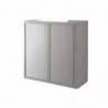 Armario Paperflow color Gris 2 Puertas