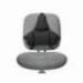 Almohadilla lumbar Fellowes