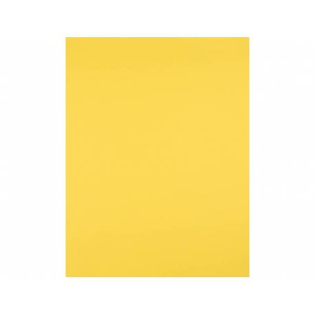 Cartulina Color Blanco Liderpapel 50x65 cm 180 gr (28307)