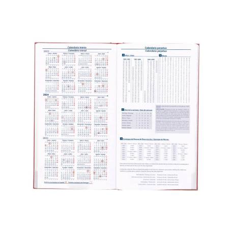 Liderpapel Tinos - Agenda anual, tamaño A4, impresión día página