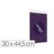 EXPOSITOR MURAL ARCHIVO 2000 DIN A3 VERTICAL CON TALADROS ESPESOR 2 MM CRISTAL TRANSPARENTE 300X445 MM