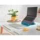 REPOSAMUÑECAS LEITZ ERGO COSY PARA RATON AJUSTABLE COLOR GRIS