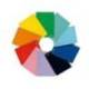 CUADERNO ESPIRAL LIDERPAPEL DIN A4 WITTY TAPA DURA 80H 90GR CUADRO 4MM CON MARGEN COLORES SURTIDOS
