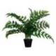 PLANTA ARTIFICIAL PAPERFLOW HELECHO 55 CM