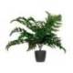 PLANTA ARTIFICIAL PAPERFLOW HELECHO 55 CM