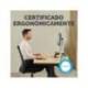 ALFOMBRILLA PARA RATON FELLOWES CON REPOSAMUÑECAS BREYTA NEGRO 250X210X25 MM