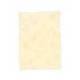 Papel pergamino DIN A4 troquelado color Topacio parchment