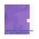 Libreta escolar Oxford Din A4 rayado horizontal 48 hojas