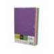 PAPEL COLOR LIDERPAPEL DIN A4 80 GR 5 COLORES SURTIDOS INTENSOS PAQUETE DE 500 HOJAS