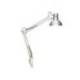 LAMPARA DE ESCRITORIO MAUL STUDY CON PINZA COLOR PLATA 170X440X350 MM