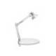 LAMPARA DE ESCRITORIO MAUL STUDY CON PINZA COLOR PLATA 170X440X350 MM