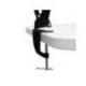 LAMPARA DE ESCRITORIO MAUL STUDY CON PINZA COLOR NEGRO 170X440X350 MM