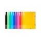 CARPETA EXACOMPTA IDERAMA GOMAS CARTON 600 GR TRES SOLAPAS DIN A3 COLORES SURTIDOS