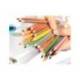 Lapices de colores Bic evolution Stripes Caja de 24 colores surtidos
