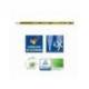 LAPICES DE GRAFITO STAEDTLER NORIS 120 N.2 HB EXPOSITOR DE 100 UNIDADES