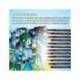 Rotulador Lyra Duo Aqua Brush Art Pen doble punta fina y pincel Caja 24 unidades
