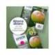 CARTUCHO INK-JET EPSON T1292 COLOR CIAN C13T12924012