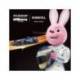 Pila alcalina Duracell D
