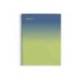 CUADERNO ESPIRAL MIQUELRIUS DIN A4 80 HOJAS CUADRO 5 MM 90 GR GRADIENT AZUL/LIMON