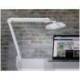 LAMPARA DE ESCRITORIO MAUL LED CON PINZA CABEZAL INCLINABLE Y GIRATORIO COLOR BLANCO